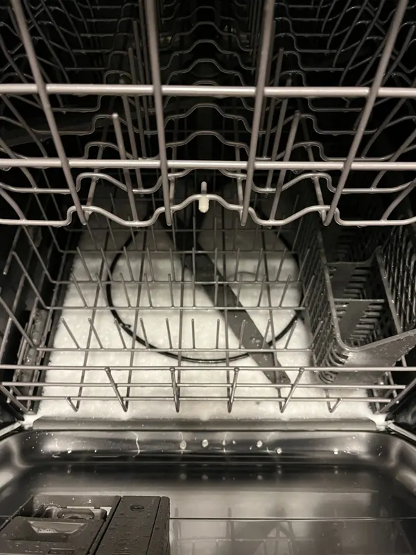 Dishwasher interior after service